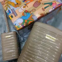 ست سطل و توالت شور