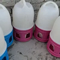 ابخوری بوقلمون|لوازم جانبی حیوانات|بندرعباس, |دیوار