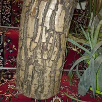 صندلی / کنده / نیمکت|صندلی و نیمکت|اصفهان, خانه اصفهان|دیوار