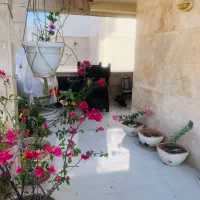 ۶۸ متر تراس بزرگ نوبنیاد ۳ پاسارگاد