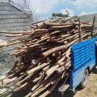 خرید و فروش چوب خشک و تر ضایعات شاهینی