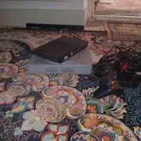 فروش|فرش|شهرکرد, |دیوار