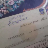 گمشده ها
