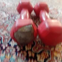 دمبل 5 کیلویی|تجهیزات ورزشی|مشهد, گاز|دیوار