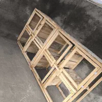 جفت کن کبوتر|لوازم جانبی حیوانات|نقده, |دیوار