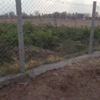 ّباغ انگور|فروش دفتر صنعتی، کشاورزی، تجاری|دشتابی, |دیوار