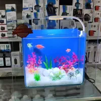 آکواریوم فروشی در سیستان و بلوچستان