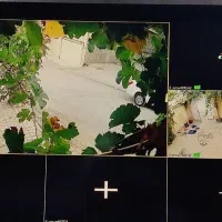 نصاب حرفه ای دوربین|خدمات پیشه و مهارت|سنندج, |دیوار