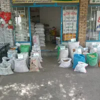 دان پرندگان تزینی.مرغ کبوتر.توتی سان