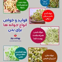 ۸جوانه|خوردنی و آشامیدنی|مشهد, شهرک امام سجاد|دیوار