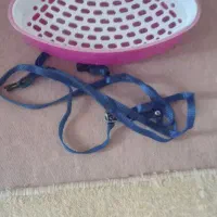 ظرف دستشویی خرگوش .یدونه قلاده گربه .قیمت توافقی