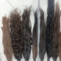 نمایندگی صادرات و مرکز خرید موی سبزوار