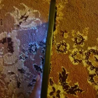 شیامی نت ۱۳ پرو|موبایل|ملارد, |دیوار