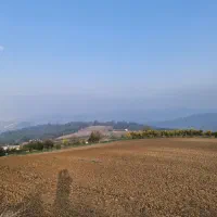 زمین ۱۰۰۰متری دوتا پلاک ویو ۳۶۰درجه|فروش زمین و ملک کلنگی|نکا, |دیوار