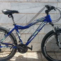 دوچرخه حرفه ای