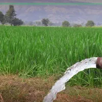فروش-فوق-العاده-زمین-زراعی-به-متراژ-40-من