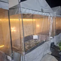 الاچیق