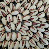 پسته اکبری درشت مناسب شب یلدا|عمدهفروشی|یزد, |دیوار