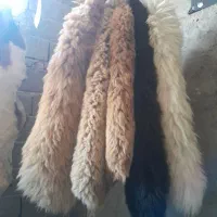 زیر انداز پشمی *تبریز