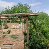 فروش ملک ششدانگ|فروش زمین و ملک کلنگی|دشتابی, |دیوار