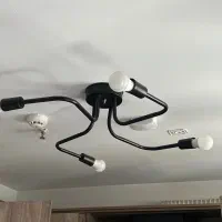 لوستر شاخه‌ای