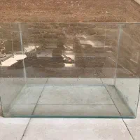 آکواریوم ماهی