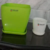 گلدان|گل و گیاه طبیعی|قم, هفت تیر|دیوار