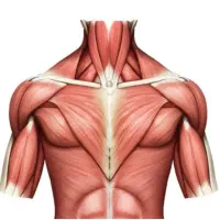 برگزاری دوره آموزشی کاربر ماساژ باگواهینامه معتبر