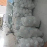 لامپ|لامپ و چراغ|فردیس, شهرک ارم|دیوار