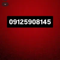 09125908145
