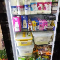 یخچال سه درب ایستاده|یخچال و فریزر|لشت نشا, |دیوار