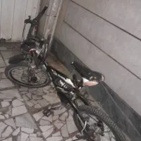 دوچرخه 24|دوچرخه، اسکیت، اسکوتر|گرگان, |دیوار