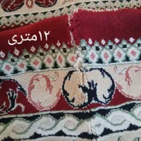فرش کارکرده|فرش|سنندج, |دیوار