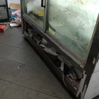 یخچال قنادی پروتیین ویترین ست وپیشخوان|فروشگاه و مغازه|صباشهر, |دیوار