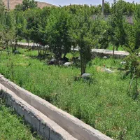 استخدام باغبان