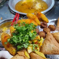 نیروی کار بلد