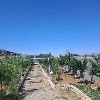 باغچه ۴دیواری شده، آلاچیق ث استخر