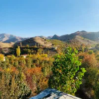 خریدچوب بابهترین قیمت