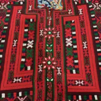 زی ششتاری بزرگسال