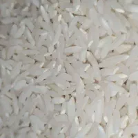 برنج طارم فقط۱۹۸تومان|خوردنی و آشامیدنی|تبریز, |دیوار