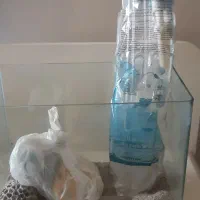 اکواریوم سالم خانگی و تمیز با وسایل همراه