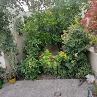 فروش-خانه-ویلایی-محمود-اباد