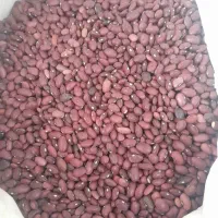 حبوبات لوبیا قرمز چیتی زیره