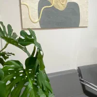 تابلوی دکوراتیو مینیمال ۸۰در۱۲۰|تابلو، نقاشی، عکس|سمنان, |دیوار