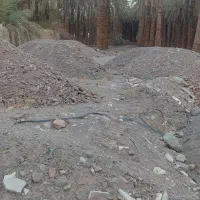 زمین باغی