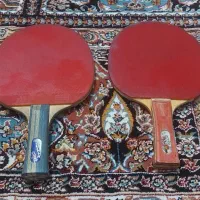 راکت پینک پونگ  فرندشیپ