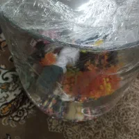 اکفاریوم گرد استوانه ای