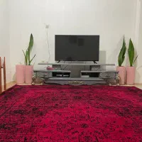 فرش کاملا سالم و نو