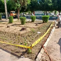 خدمات باغبانی|خدمات باغبانی و درختکاری|اهواز, کیانپارس |دیوار