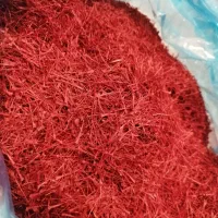 زعفران سوپرنکین اتویی|عمدهفروشی|قائن, |دیوار